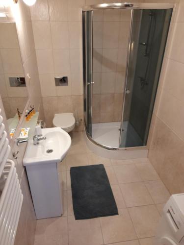 a bathroom with a shower and a sink and a toilet at Apartament Jeziorowy in Rydzewo