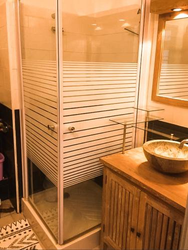 a bathroom with a shower with a sink and a counter at Superbe studio en bord de mer in Saint-Pierre