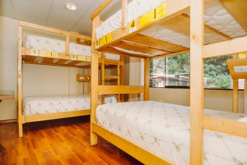 سرير بطابقين أو أسرّة بطابقين في غرفة في Nativus Hostel Machu Picchu