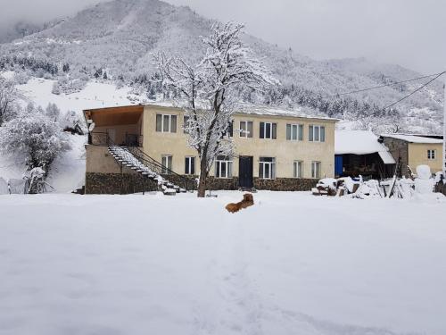 Imagen de la galería de Babale's guesthouse in Mestia, en Mestia