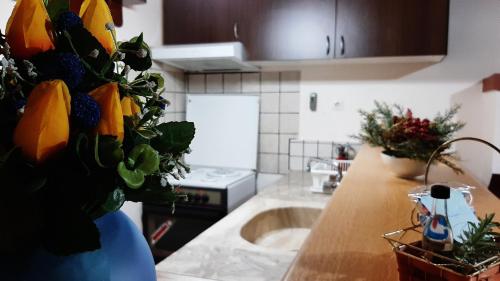 eine Küche mit einer Spüle und einer Theke mit einer Vase in der Unterkunft Αρχοντικό - Κέντρο Κάτω Τιθορέας in Káto Tithoréa