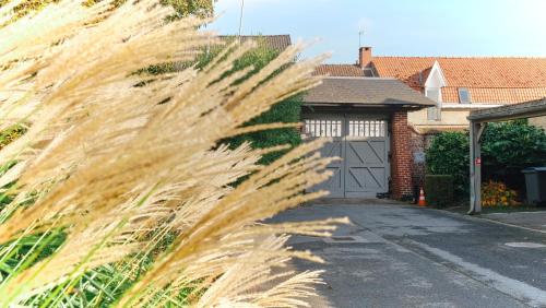 a tall grass hedge in front of a garage at Au Petit Manoir in Socx