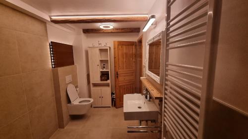 a bathroom with a toilet and a sink and a mirror at Haus am Sonnberg in Maria Alm am Steinernen Meer