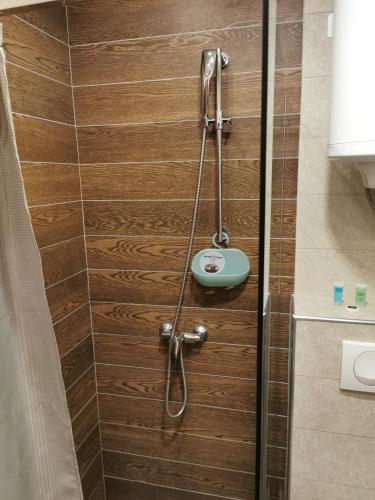 a shower in a bathroom with a wooden door at SkyKop Apartman L21 in Kopaonik