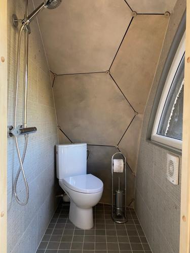 a small bathroom with a toilet and a shower at Pokemaja Nõva männimetsas in Rannaküla