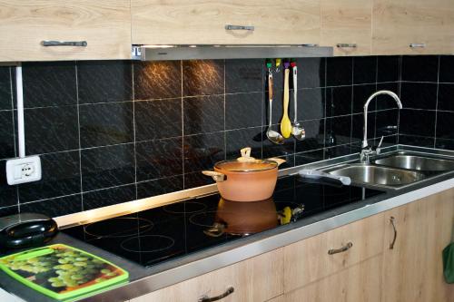 a kitchen with a sink and a pot on a counter at Me & You Hostel in Tirana