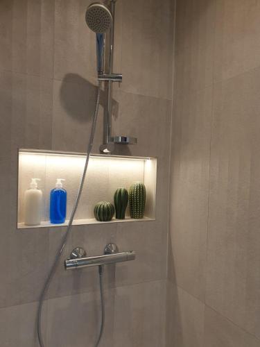 a shower with a shower head in a bathroom at CASAMENTERA in Mentera-Barruelo