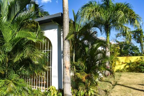 Gallery image of Casa Tropical - Boca Chica in Boca Chica