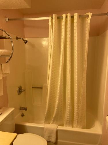 a bathroom with a shower curtain and a toilet at Executive Inn in McPherson
