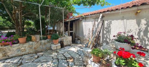 Apartments Kika – Photos 4