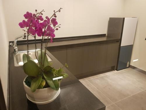 a vase with purple flowers on a counter in a room at Anseong City Hotel in Anseong