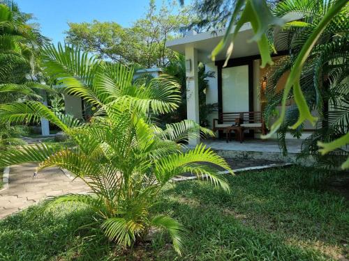 a house with a palm tree in front of it at Sahaa Beach Resort in Sihanoukville