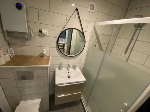 une salle de bain avec un lavabo, un miroir et une douche dans l'établissement LE PATIO Studio-Terrasse Montbeliard-Centre, à Montbéliard