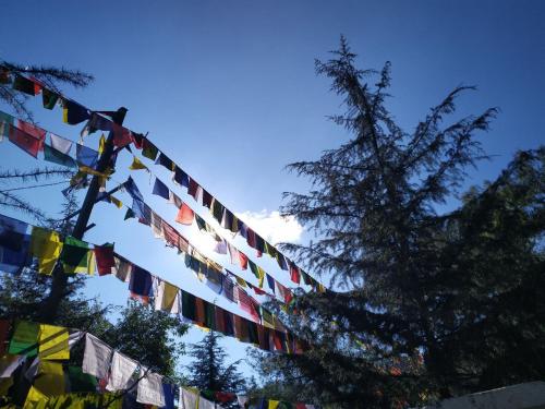 a line of prayer flags with a tree in the background at Ritu Raj Home Stay & Cafe in Malther