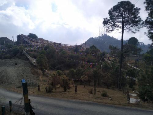 a long suspension bridge on a hill with a tree at Ritu Raj Home Stay & Cafe in Malther