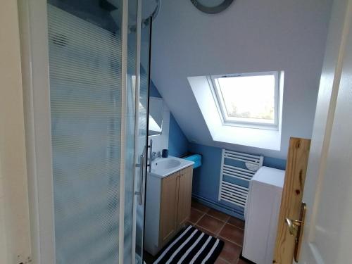 a bathroom with a shower and a sink at Gîte Saint-Jean-sur-Mayenne, 3 pièces, 4 personnes - FR-1-600-191 in Saint-Jean-sur-Mayenne