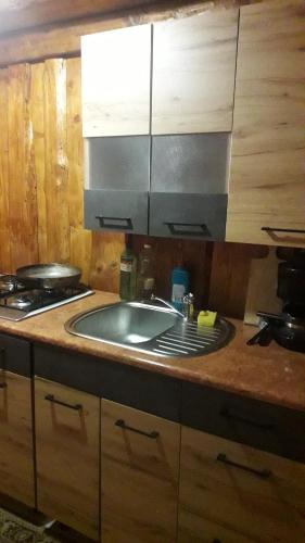 a kitchen with a sink and a stove at "Бджілка" і " Садиба для відпочинку" in Lyuta