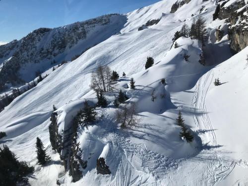 a snow covered slope with trees on a mountain at Sorecrans in Crans-Montana