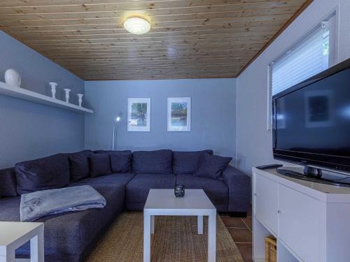 sala de estar con sofá azul y TV de pantalla plana en Seegefluester am Malchower See en Malchow