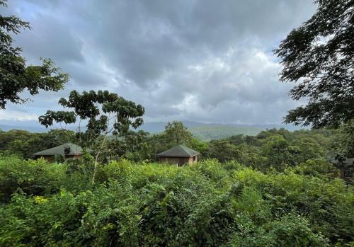 The Postcard Hideaway, Netravali Wildlife Sanctuary, Goa في Vichondrem: منزل وسط ميدان اشجار