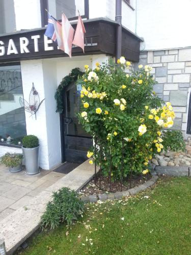 a front door of a store with a bush with yellow flowers at Hotel/Pension Rosengarten in Franking