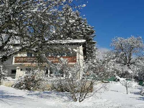 Four Seasons Apartment "GREEN PARADISE"