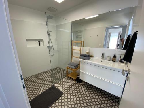 uma casa de banho com um lavatório, um chuveiro e um espelho. em Ferienwohnung Weingut Höllerer em Engabrunn