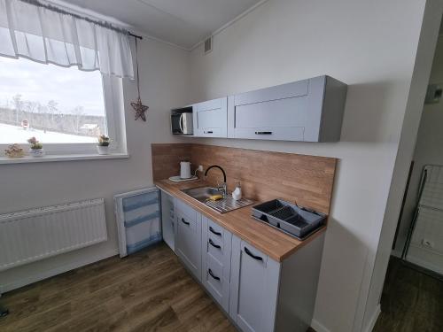 Kuchyňa alebo kuchynka v ubytovaní Apartament, Pokoje Koniczynka