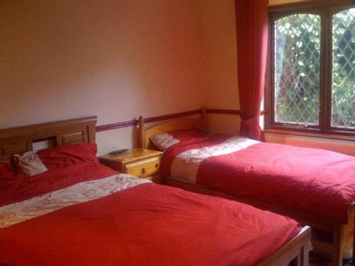a bedroom with two beds and a window at Newcourt B & B in Llantwit Major