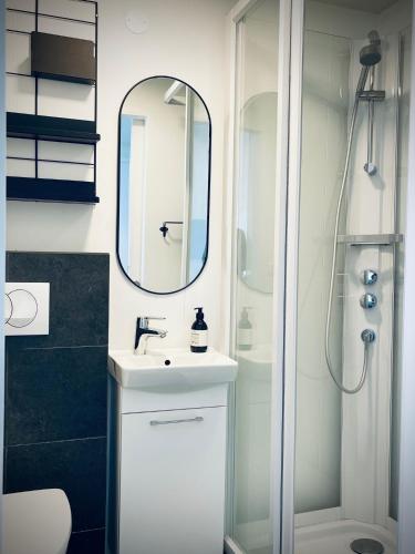 a bathroom with a white sink and a shower at Day Dream Central Akureyri Basement Studio in Akureyri