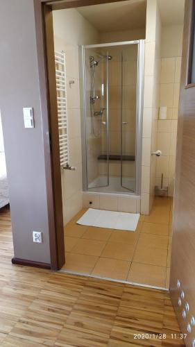 a bathroom with a shower with a glass door at Zawoja1560 Apartamenty przy Aptece in Zawoja