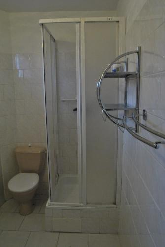 a shower stall in a bathroom with a toilet at Penzion Pod Hamižnou in Hartmanice