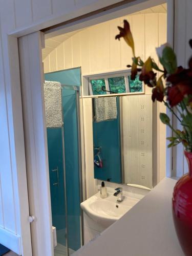 a bathroom with a sink and a shower with a mirror at Willow Brook Shepherd Hut in Sidmouth