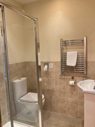 a bathroom with a shower and a toilet and a sink at Pepper Street Rooms in Whitchurch