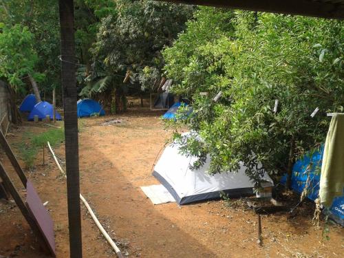 a tent in a field next to a tree at Pousada e Camping Daniel in São Roque de Minas