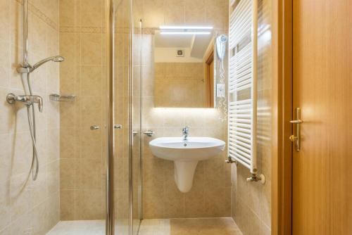 ein Bad mit einem Waschbecken und einer Dusche in der Unterkunft Residence Park Imperator Quadri in Carisolo