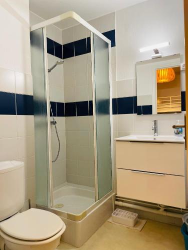 une salle de bain avec une douche, des toilettes et un lavabo dans l'établissement Bel appartement au cœur de Stella-Plage, à Cucq