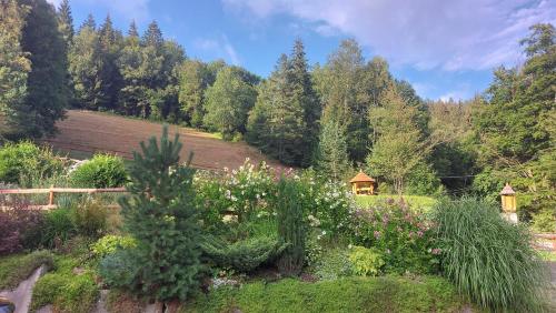 a garden with flowers and trees in the background at U Veselé lišky in Hutisko