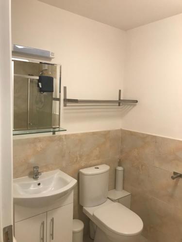a bathroom with a white toilet and a sink at Central town location apartment in Enniscorthy