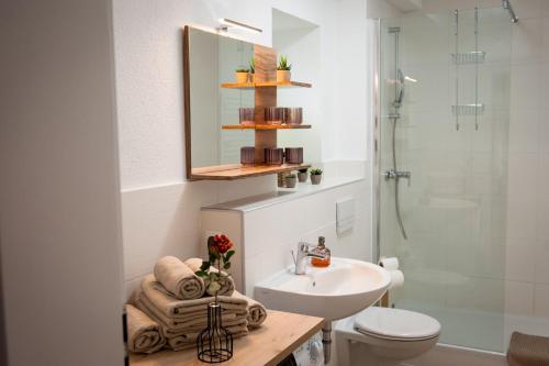 W łazience znajduje się umywalka, toaleta i prysznic. w obiekcie FeWo 04 im Carré Charlott w mieście Pulsnitz