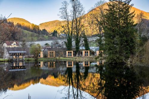 a house on a lake with trees and mountains at CHECKIN THE BOX Schloss Neubruck in Scheibbs