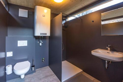 uma casa de banho com um WC branco e um lavatório. em CHECKIN THE BOX Schloss Neubruck em Scheibbs