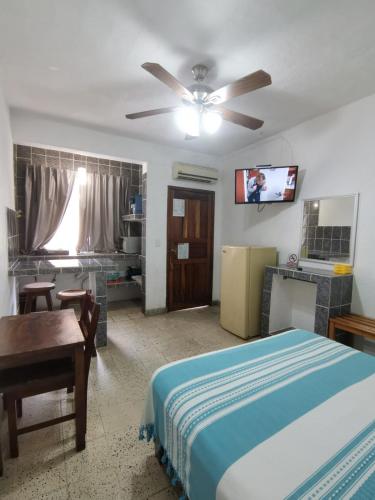 a bedroom with a bed and a flat screen tv at Hotel Hortencia in Puerto Vallarta