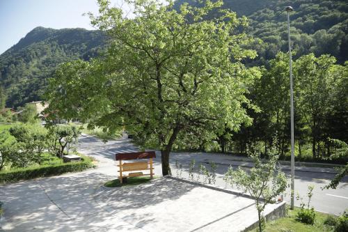 a bench sitting under a tree on a street at Apartments Slap in Slappe dʼIdria