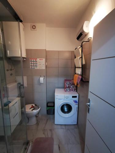 a small bathroom with a washing machine and a toilet at Ema Studio Apartman in Karlovac