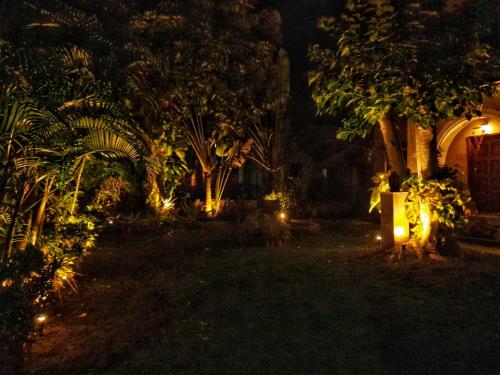 a garden lit up at night with lights at Gardenia 29 in Raichak