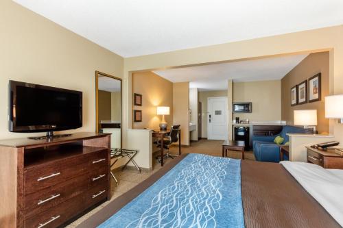 Μια τηλεόραση ή/και κέντρο ψυχαγωγίας στο Comfort Inn & Suites Bryant - Benton