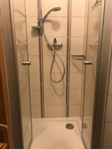 ein Bad mit einer Dusche und einem WC in der Unterkunft Ferienwohnung 1000 Krauthof in Laimbach am Ostrong