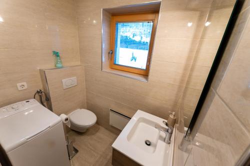 een badkamer met een wastafel, een toilet en een raam bij Apartma Lana in Mojstrana
