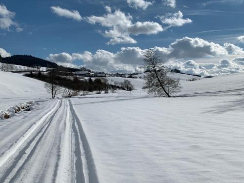 a snow covered field with tracks in the snow at Ferienwohnung-Mühlviertel in Oepping